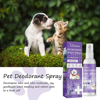 Lavender Oil Deodorizer Spray